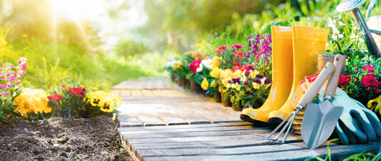 Gartentrends 2018 Header