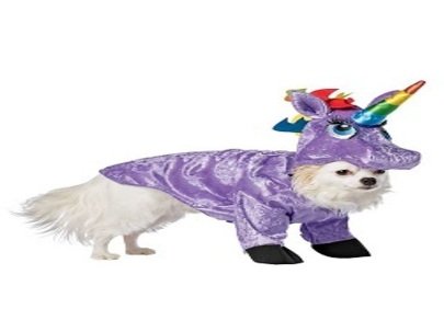 Kostueme fuer den Hund